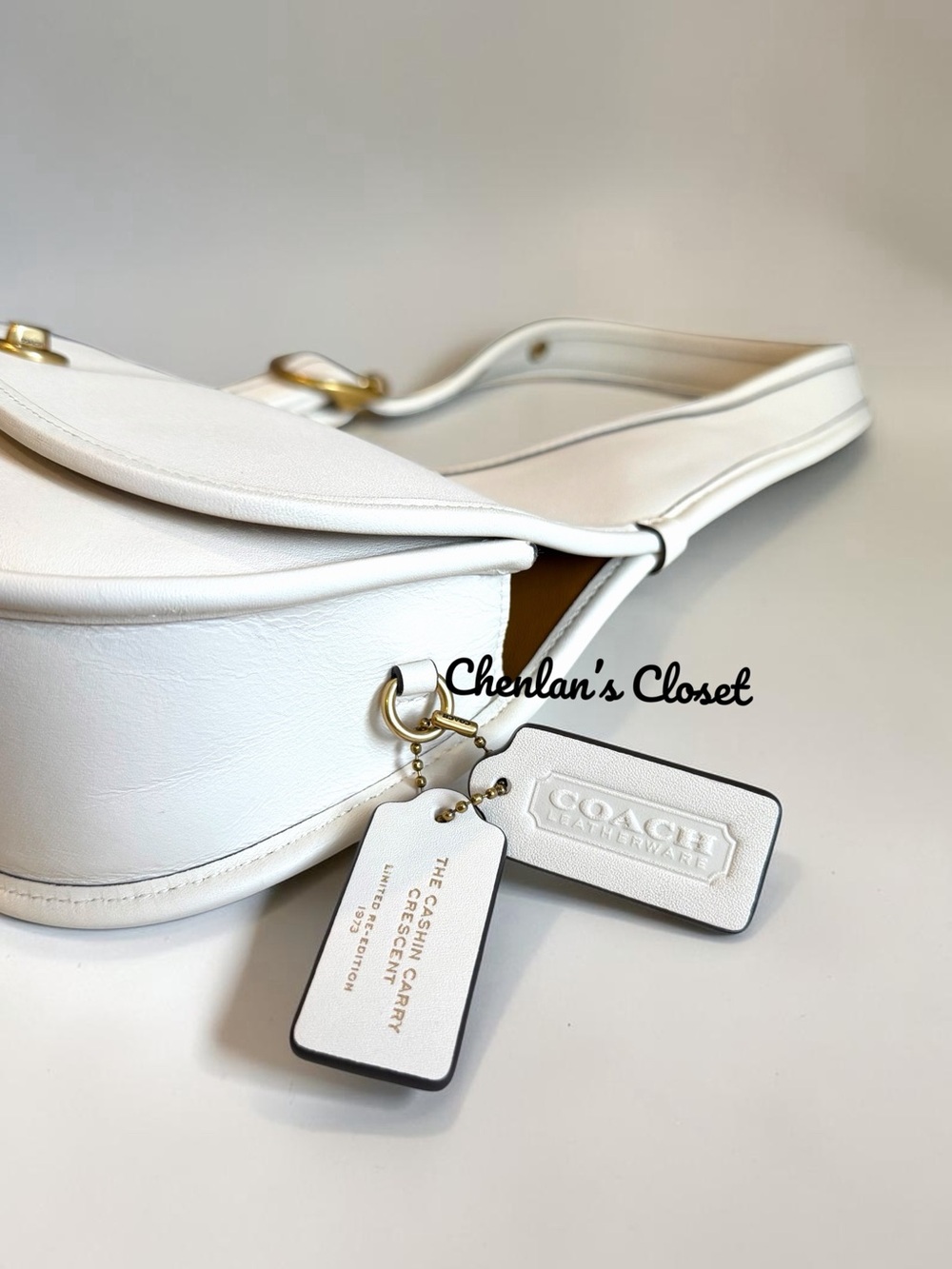 Coach Cashin Carry Crescent Bag NeW - Picture 6 of 15